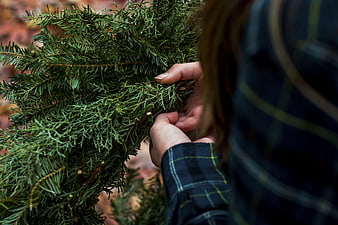 Close-up of hands arranging evergreen branches for wreath