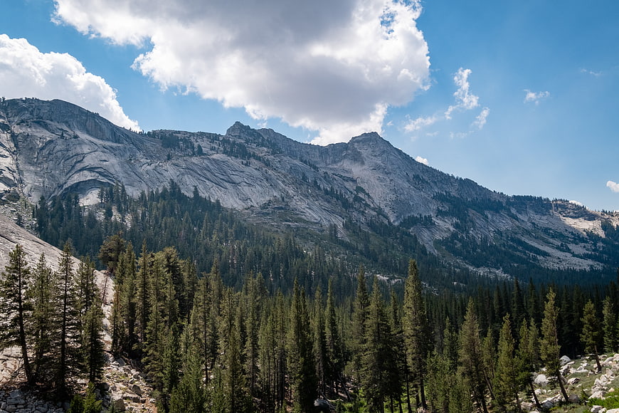 Majestic granite mountain peak with pine forest and blue sky