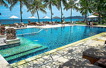 Luxury tropical resort pool with ocean view and palm trees