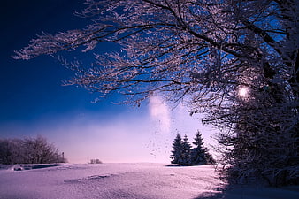 Snowy Winter Landscape with Frosty Trees and Blue Sky