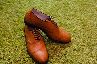 Brown leather shoes on green grass background