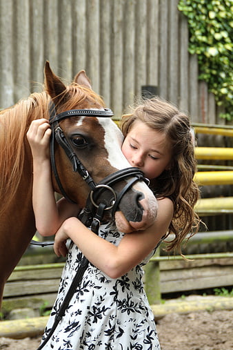 Young Girl Hugging Brown Horse in Stable
