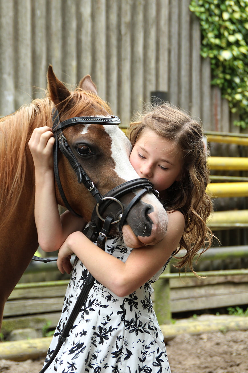 Young Girl Hugging Brown Horse in Stable