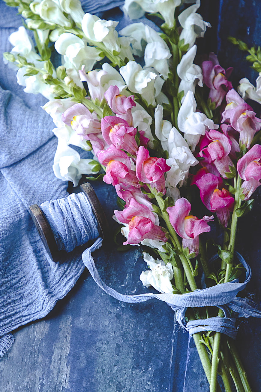 Pink and White Snapdragon Bouquet on Blue Linen