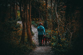 Woman Walking Dog on Forest Trail in Autumn