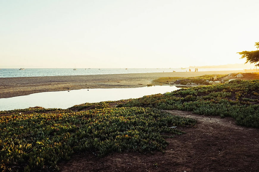 Coastal Landscape with Ice Plant and Ocean at Sunset