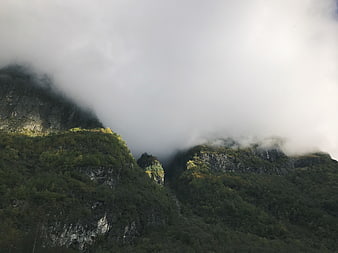 Misty Mountain Peaks with Lush Green Forests