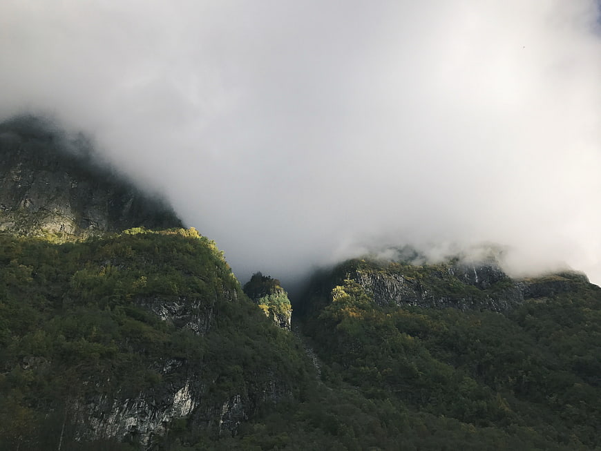 Misty Mountain Peaks with Lush Green Forests