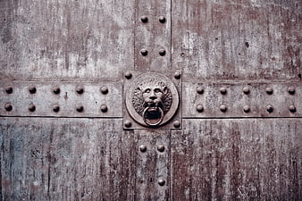 Close-up of antique wooden door with lion head bronze knocker