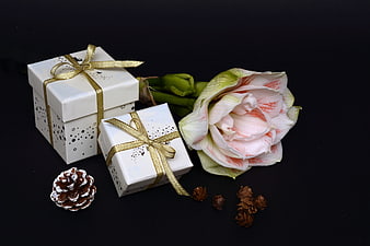 White Christmas Gift Boxes with Gold Ribbon and Amaryllis Flower