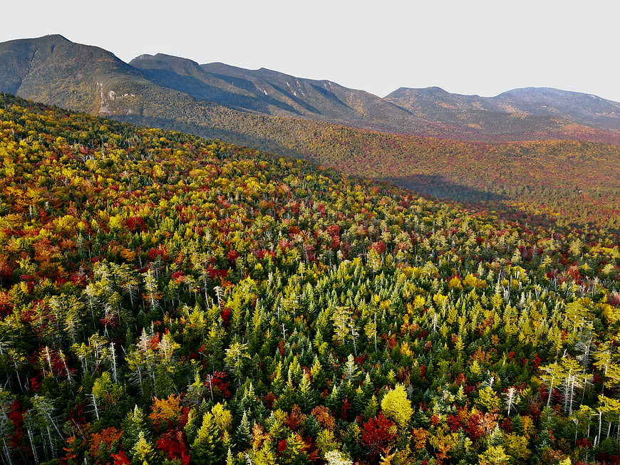 Aerial View of Vibrant Autumn Forest and Mountain Range