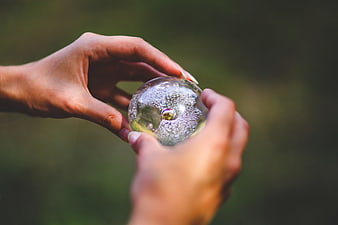 Hands holding a crystal ball with bubbles