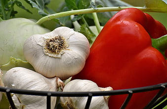 Fresh Garlic and Red Bell Pepper in a Basket