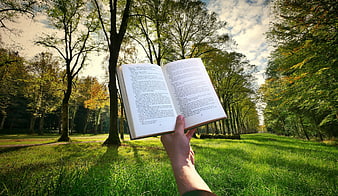 Hand holding open book in sunlit park with autumn trees