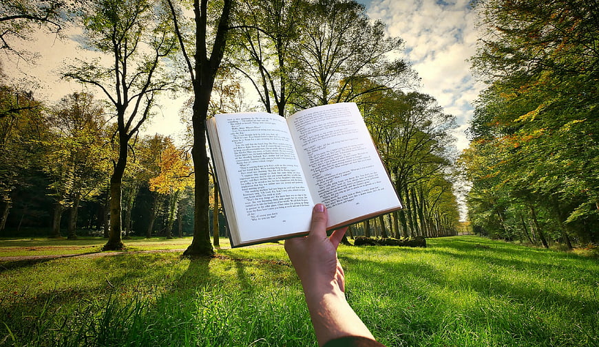 Hand holding open book in sunlit park with autumn trees