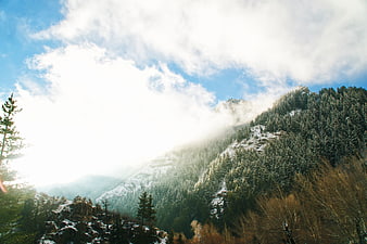 Snowy Mountain Forest with Misty Clouds and Blue Sky