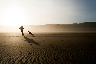 Woman and Dog Running on Sandy Beach at Sunset
