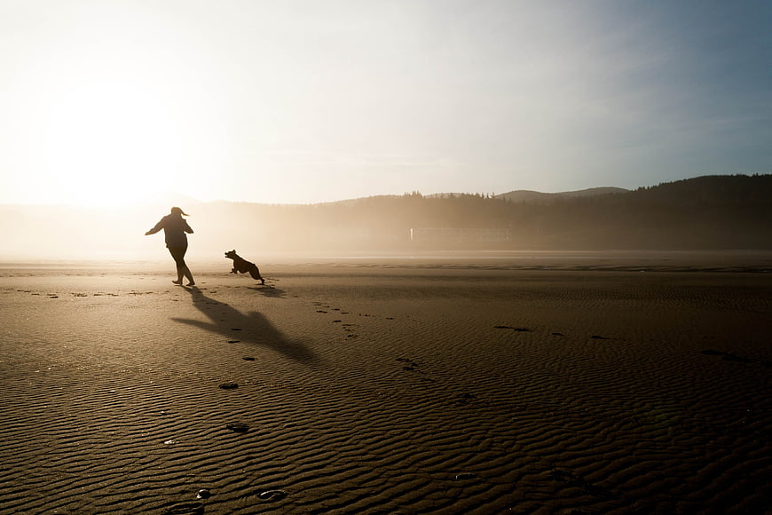 Woman and Dog Running on Sandy Beach at Sunset