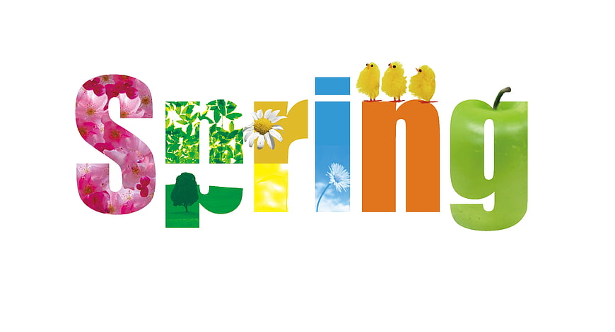 Spring word collage with flowers, chicks, and green apple