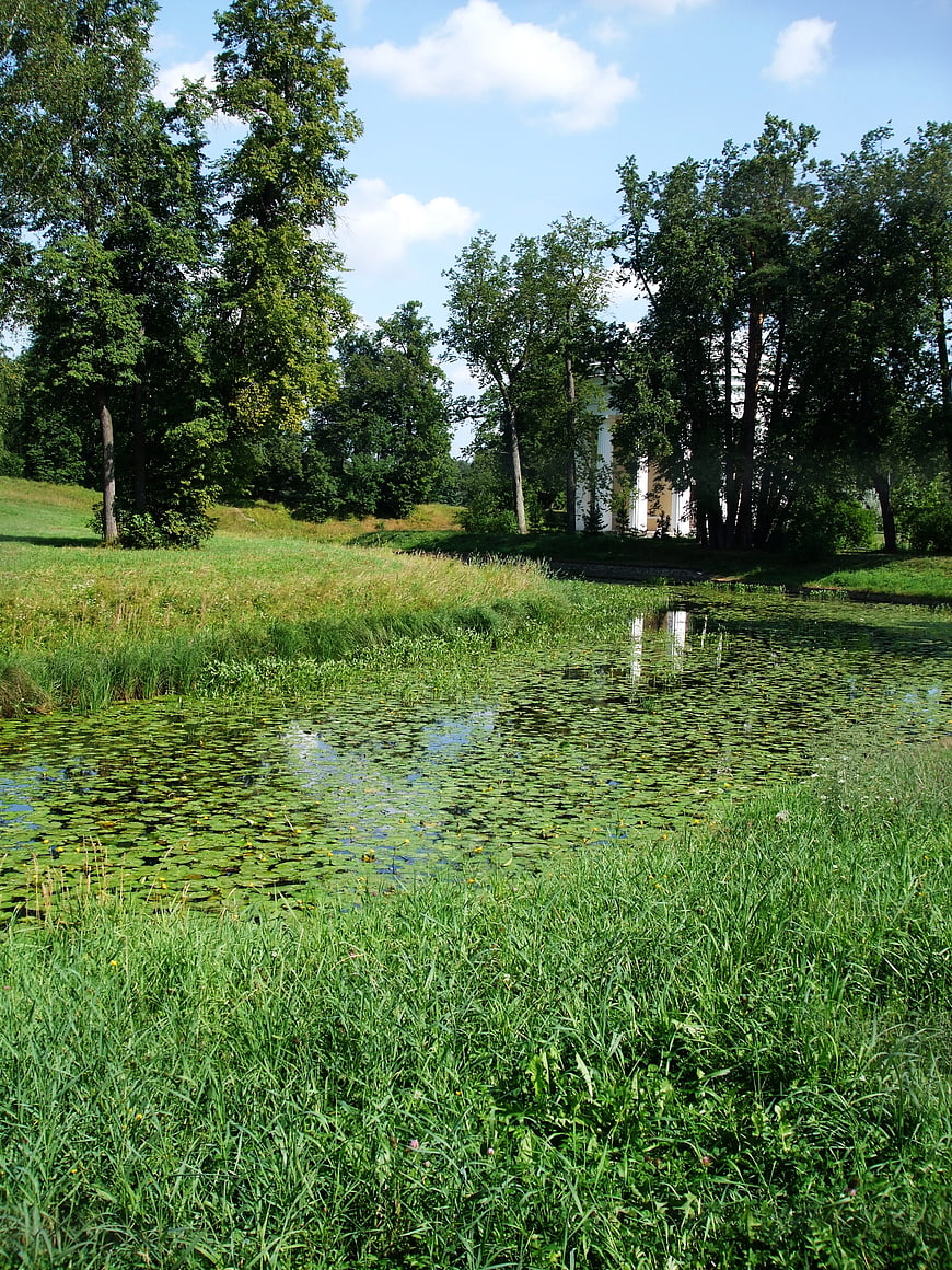Serene Summer Landscape with Pond, Lush Greenery, and Distant White Building
