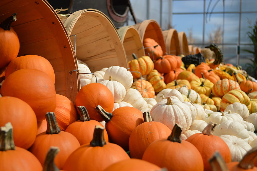 Colorful Pumpkins and Gourds in Wooden Baskets