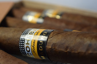 Close-up of Cohiba Maduro cigar in wooden box