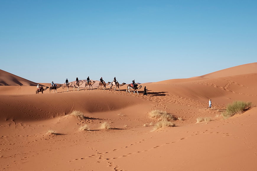 Camel caravan trekking across red sand dunes in the desert