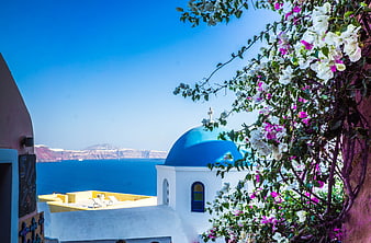 Santorini Oia Blue Dome Church With Bougainvillea Flowers And Sea View