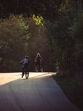 Two boys riding bicycles down a sunlit country road