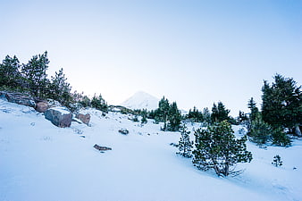 Snowy Mountain Landscape with Pine Trees and Blue Sky