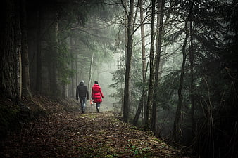 Couple hiking on misty forest path in autumn