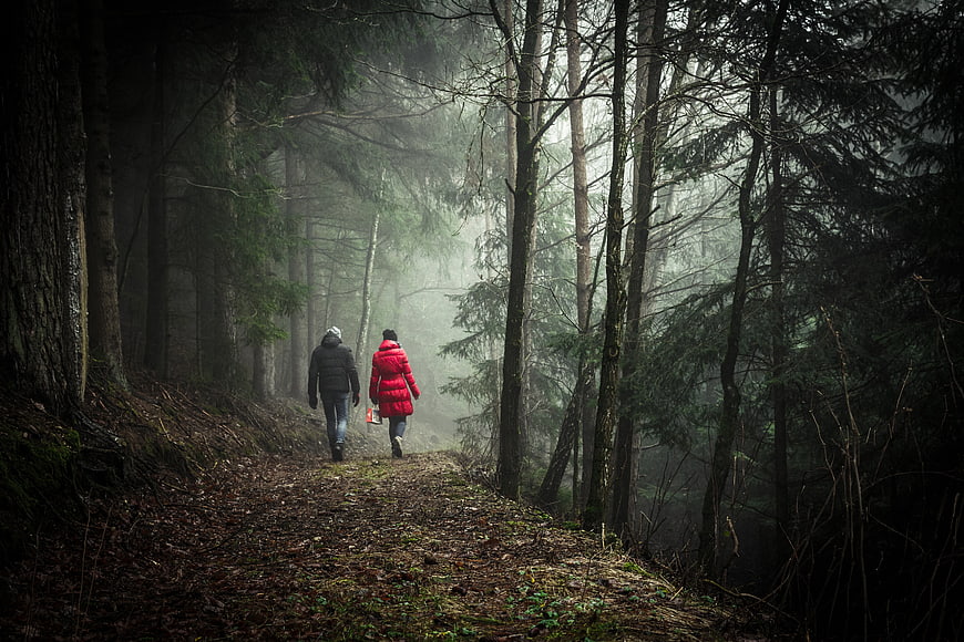Couple hiking on misty forest path in autumn