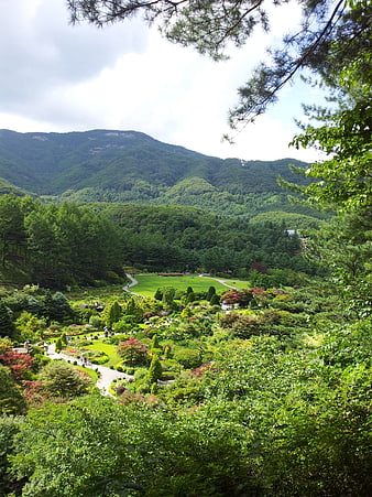 Lush Mountain Garden Landscape with Winding Paths