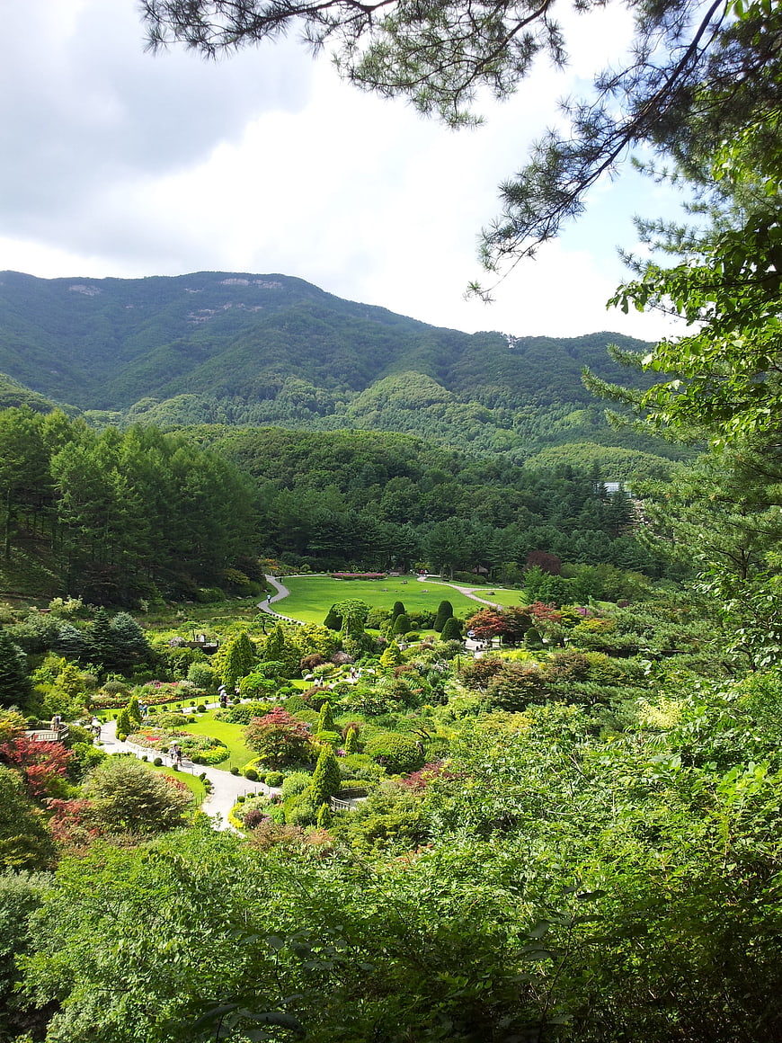 Lush Mountain Garden Landscape with Winding Paths