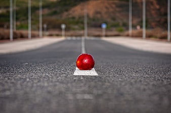 Red Apple on Asphalt Road Center Line