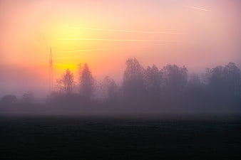 Misty sunrise landscape with silhouetted trees and contrails