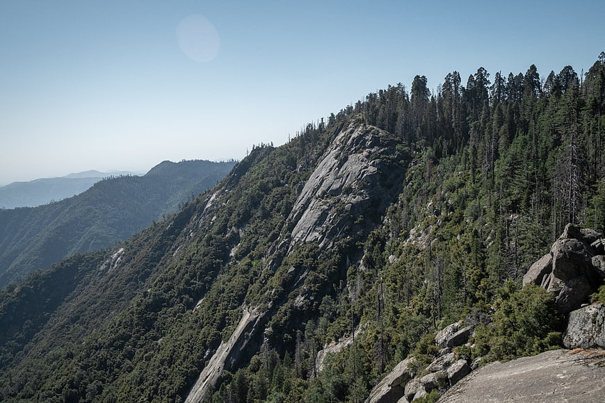 Scenic Rocky Mountain Ridge with Pine Forest and Blue Sky