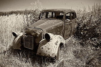 Abandoned vintage car in overgrown field