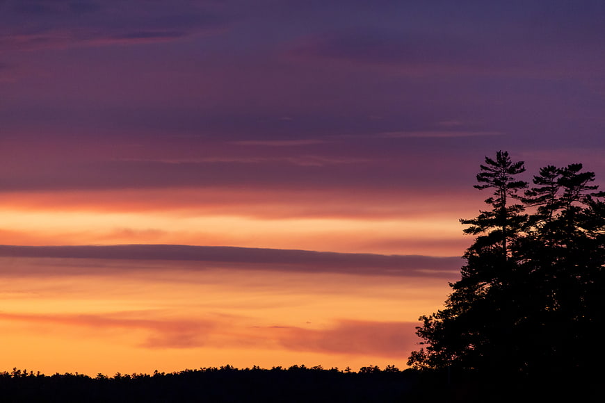 Vibrant Sunset Sky with Silhouetted Pine Trees