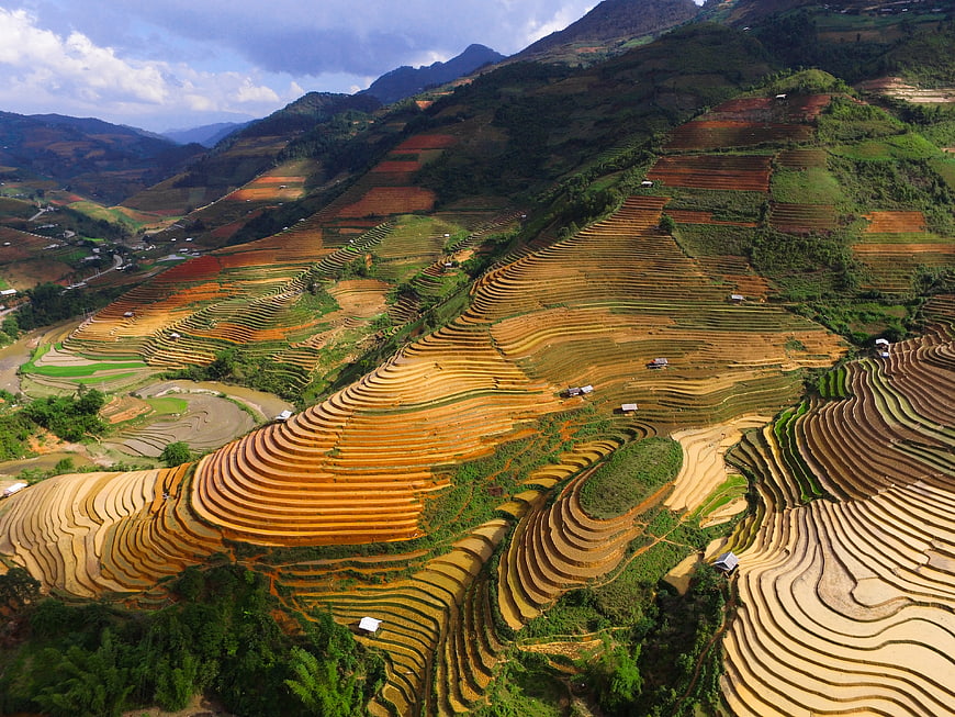 Aerial View of Golden Rice Terraces in Mountainous Landscape