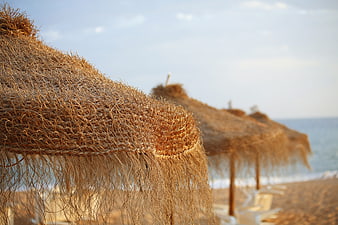 Close-up of Thatched Beach Umbrellas on Sandy Shore
