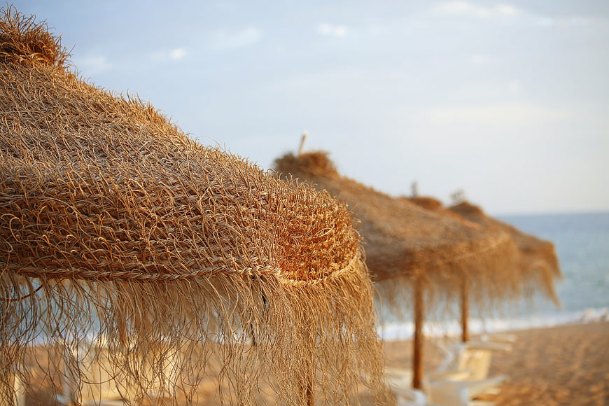 Close-up of Thatched Beach Umbrellas on Sandy Shore