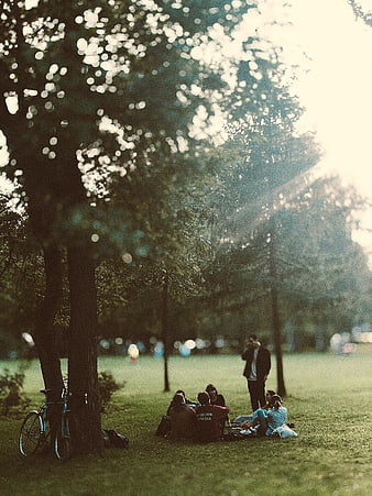 Friends relaxing in park with bicycle and sunlight