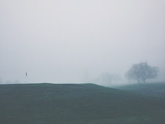 Misty Golf Course Green with Flag and Trees