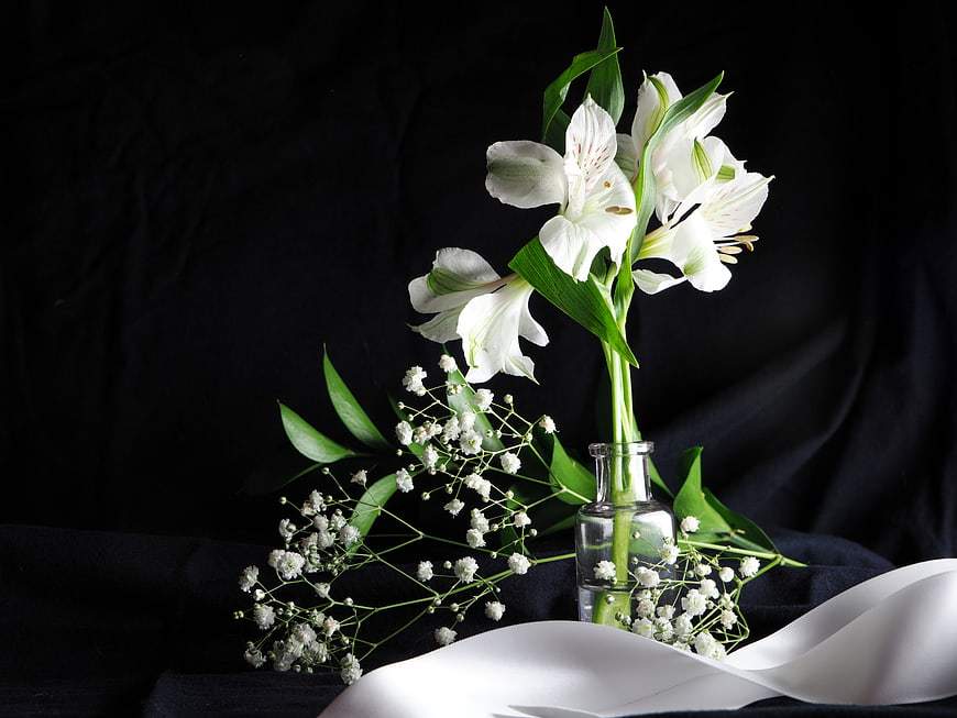 White Alstroemeria and Baby's Breath in Glass Vase on Black Background