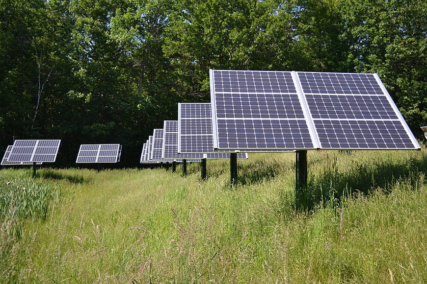 Solar panels in a grassy field with forest background