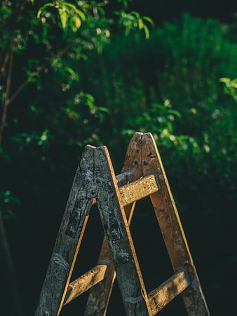 Weathered Wooden Ladder in Sunlit Garden