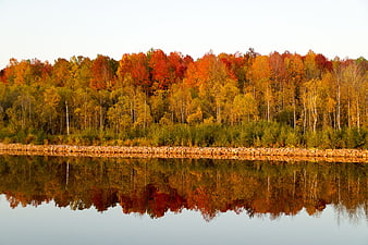 Vibrant Autumn Forest Reflection in Calm Lake Water