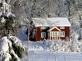 Red Swedish Cottage in Snowy Winter Forest