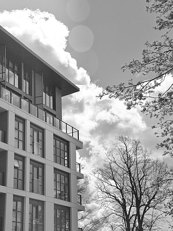 Black and white modern building facade with trees and clouds